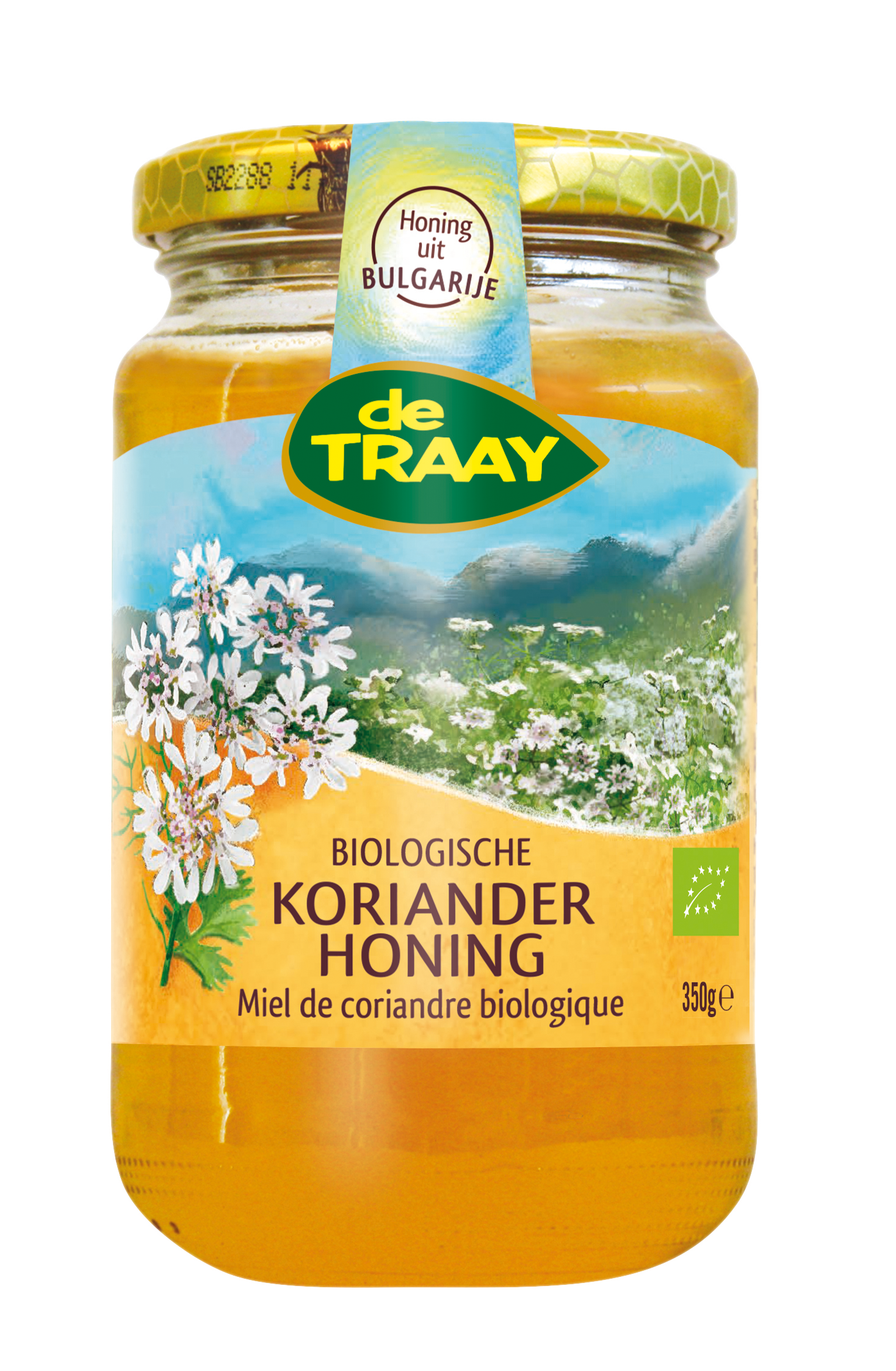 Koriander (bio)